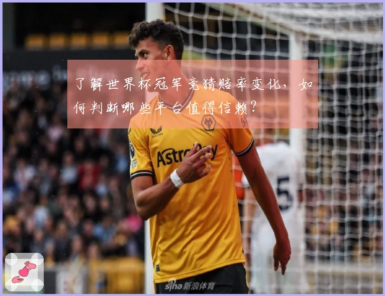 了解世界杯冠军竞猜赔率变化，如何判断哪些平台值得信赖？