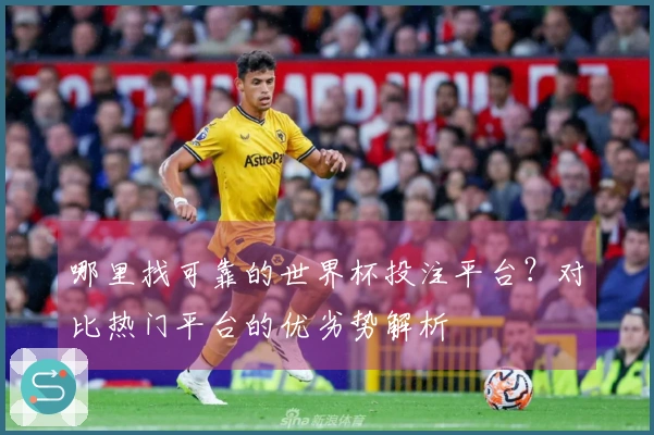 哪里找可靠的世界杯投注平台？对比热门平台的优劣势解析