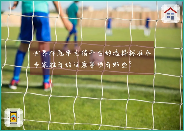 世界杯冠军竞猜平台的选择标准和专家推荐的注意事项有哪些？