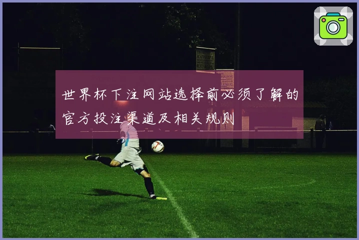 世界杯下注网站选择前必须了解的官方投注渠道及相关规则
