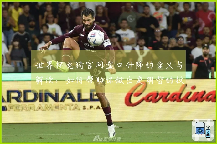 世界杯竞猜官网盘口升降的含义与解读，如何帮助你做出更明智的投注选择