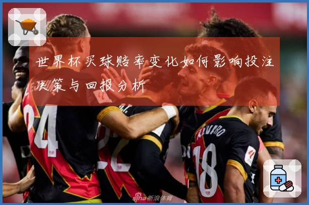 世界杯买球赔率变化如何影响投注决策与回报分析
