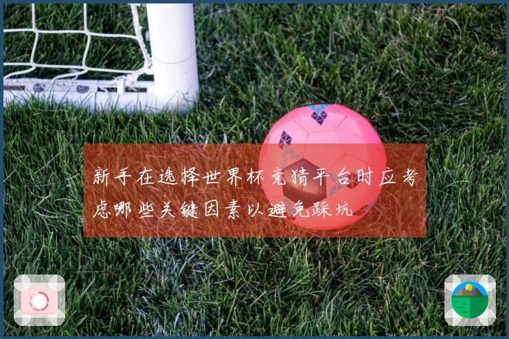 新手在选择世界杯竞猜平台时应考虑哪些关键因素以避免踩坑