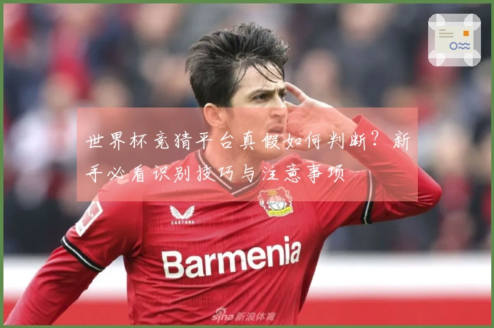 世界杯竞猜平台真假如何判断？新手必看识别技巧与注意事项