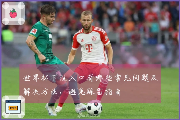 世界杯下注入口有哪些常见问题及解决方法，避免踩雷指南