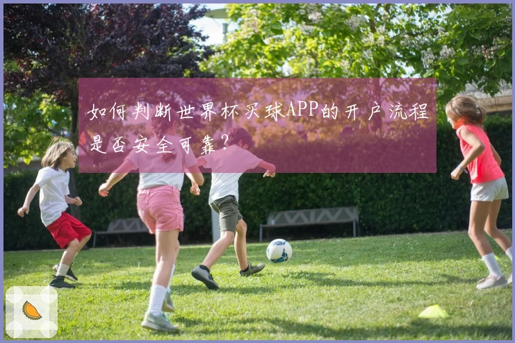 如何判断世界杯买球APP的开户流程是否安全可靠？