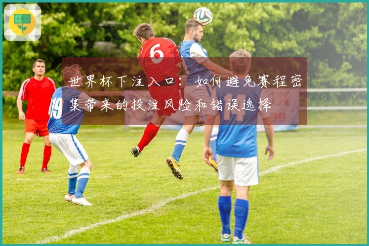 世界杯下注入口：如何避免赛程密集带来的投注风险和错误选择