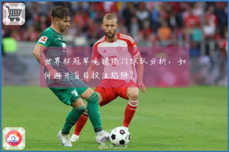 世界杯冠军竞猜热门球队分析，如何避开盲目投注陷阱？