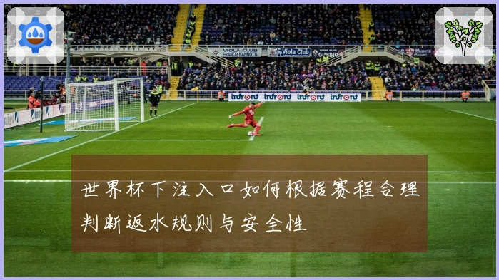 世界杯下注入口如何根据赛程合理判断返水规则与安全性