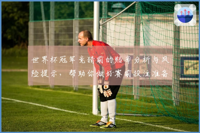世界杯冠军竞猜前的赔率分析与风险提示，帮助你做好赛前投注准备