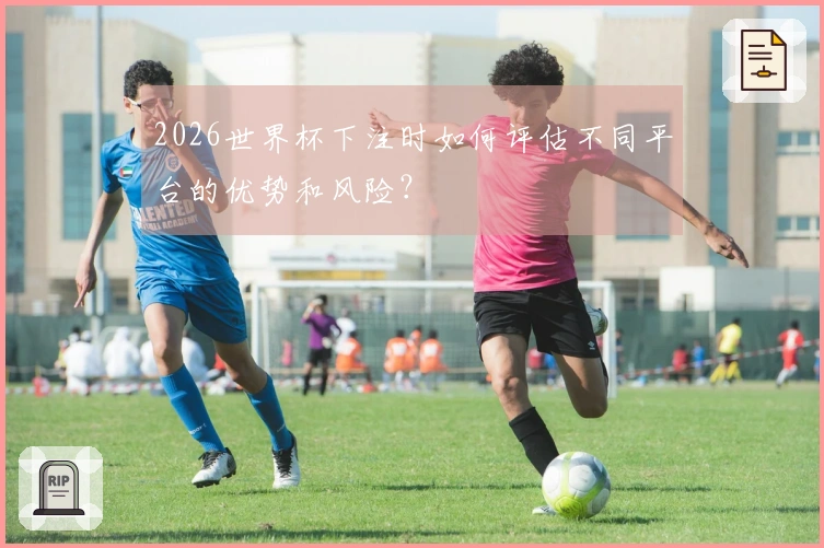 2026世界杯下注时如何评估不同平台的优势和风险？