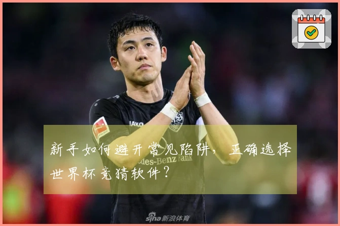 新手如何避开常见陷阱，正确选择世界杯竞猜软件？