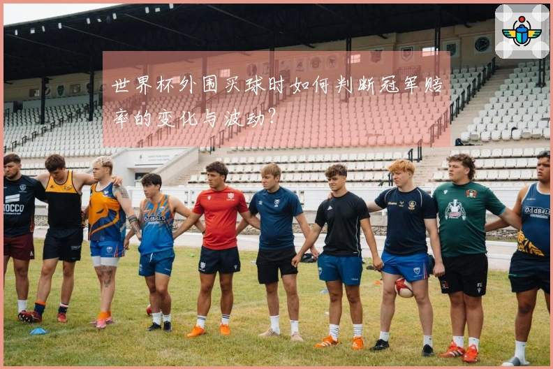 世界杯外围买球时如何判断冠军赔率的变化与波动？