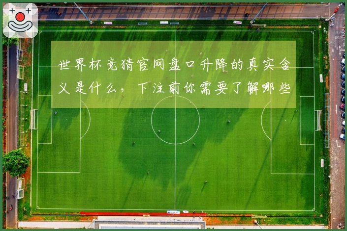 世界杯竞猜官网盘口升降的真实含义是什么，下注前你需要了解哪些关键点？