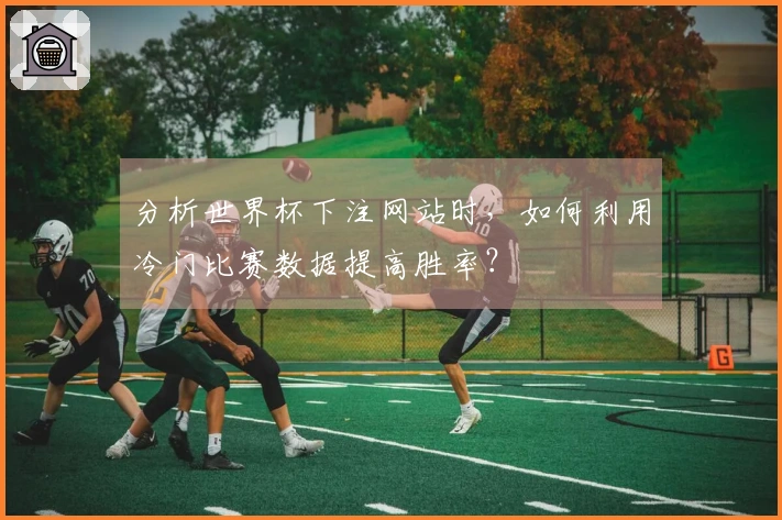 分析世界杯下注网站时，如何利用冷门比赛数据提高胜率？
