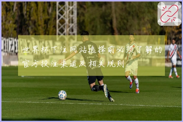 世界杯下注网站选择前必须了解的官方投注渠道及相关规则