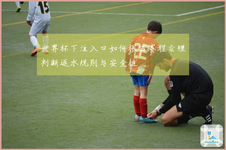 世界杯下注入口如何根据赛程合理判断返水规则与安全性
