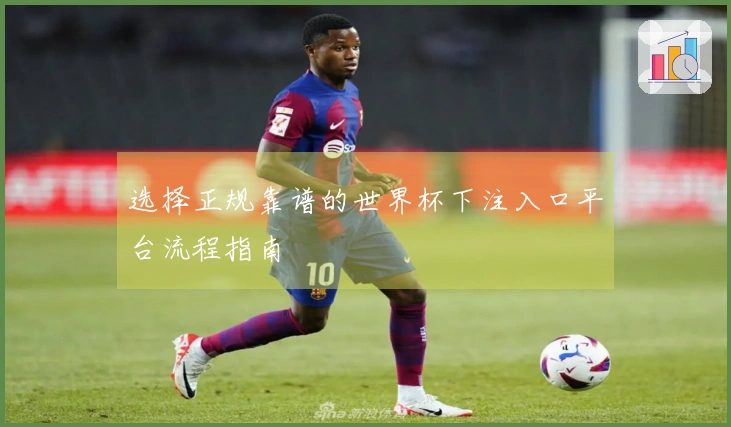 选择正规靠谱的世界杯下注入口平台流程指南