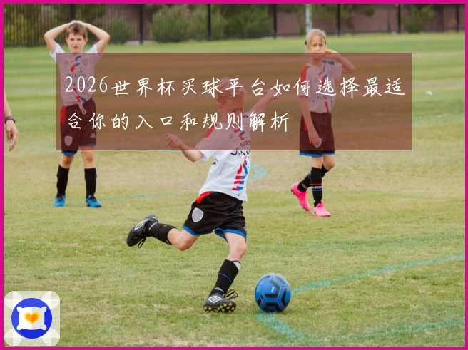 2026世界杯买球平台如何选择最适合你的入口和规则解析