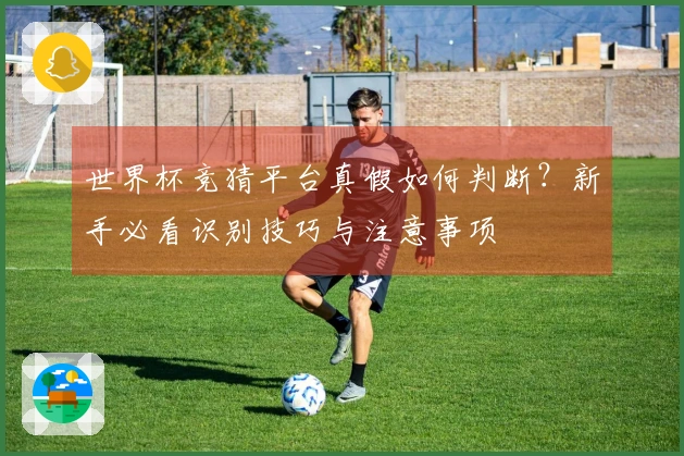 世界杯竞猜平台真假如何判断？新手必看识别技巧与注意事项